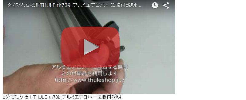 thule 739 video